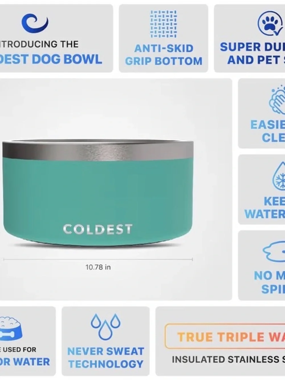 Insulated Dog Bowl in Teal - Non-Slip Stainless Rim